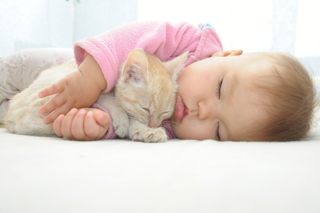 猫と眠る赤ちゃん