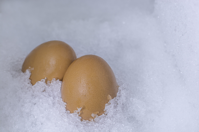 氷の中の卵
