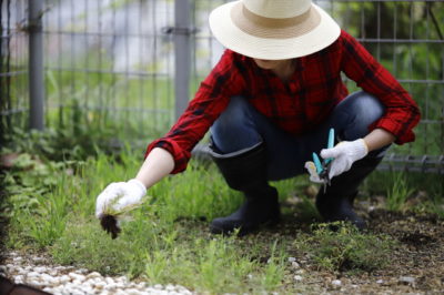 庭を掃除する女性