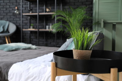 ベッドと観葉植物