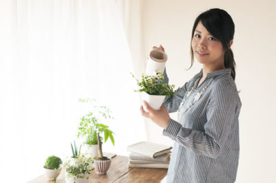 植物に水やりをする女性
