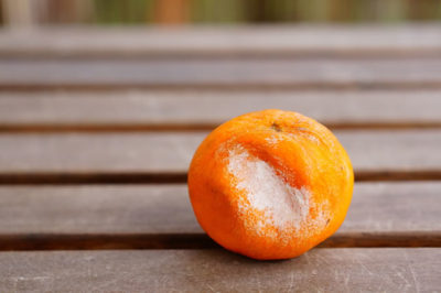 Closeup shot of a rotten tangerine on a wooden surface