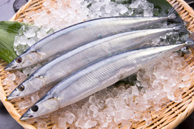 秋刀魚
