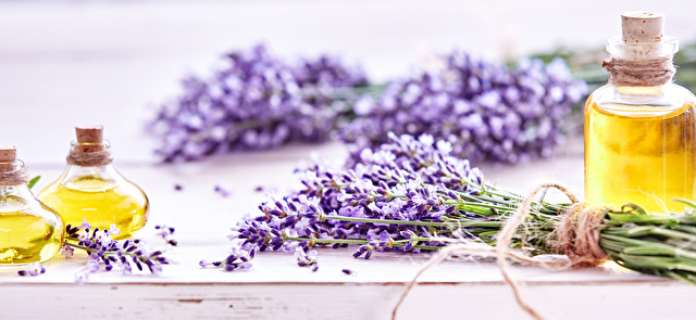 Panorama banner of lavender and essential oil