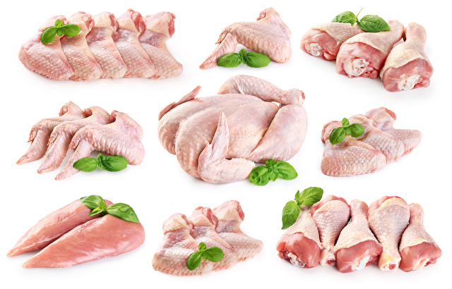 Fresh raw chicken and chicken parts isolated on white background. Breast, wings and legs.