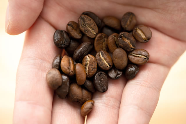 コーヒー豆を持つ手