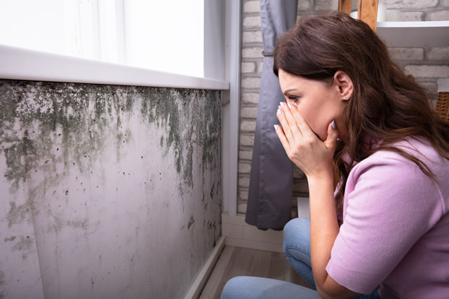 Shocked Woman Looking At Mold On Wall