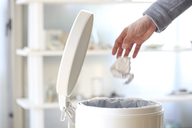 ゴミ箱にコバエが発生する原因とは 5つの対策方法 シュフーズ