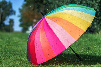芝生に干されたカラフルな傘