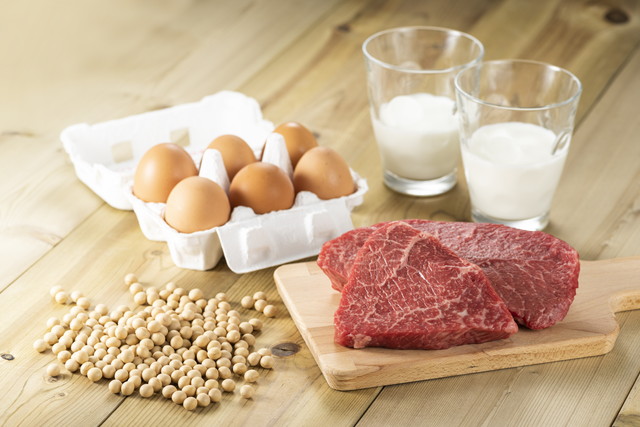 タンパク質が豊富な食品、大豆たまご肉ミルク