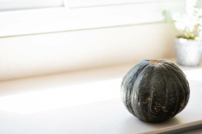白いキッチンに置かれたかぼちゃ