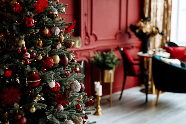 室内に飾られた立派なクリスマスツリー