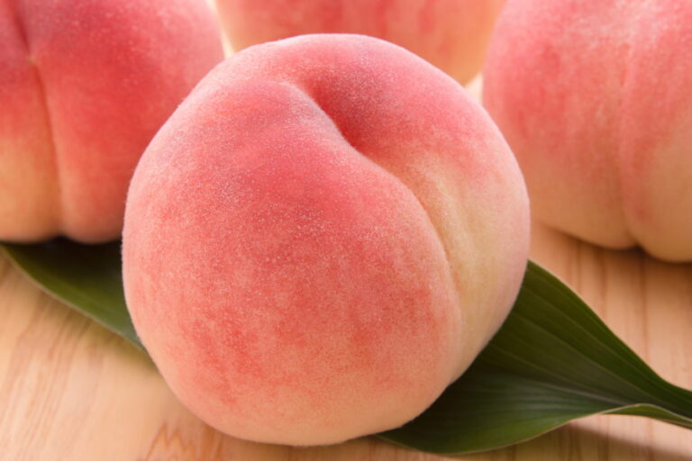 iphoneseハンドソン