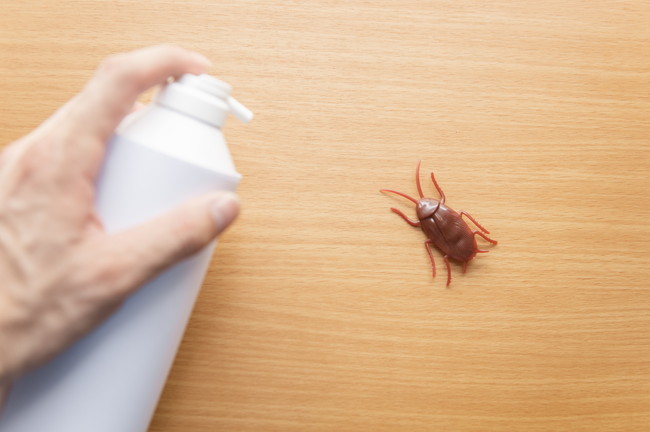 殺虫剤でゴキブリを退治するイメージ