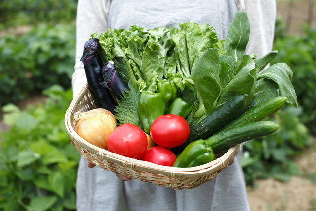 野菜を手に持つ女性