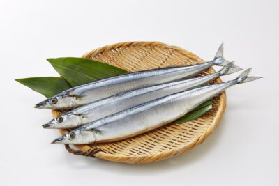 竹ざるの上の新鮮な秋刀魚