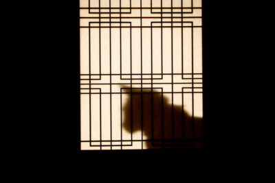 化け猫の影