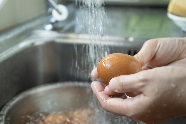 卵の殻を洗う