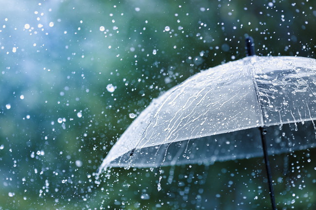 雨の日とビニール傘