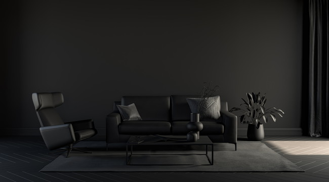 黒い壁と黒いソファーの部屋