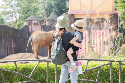 動物園