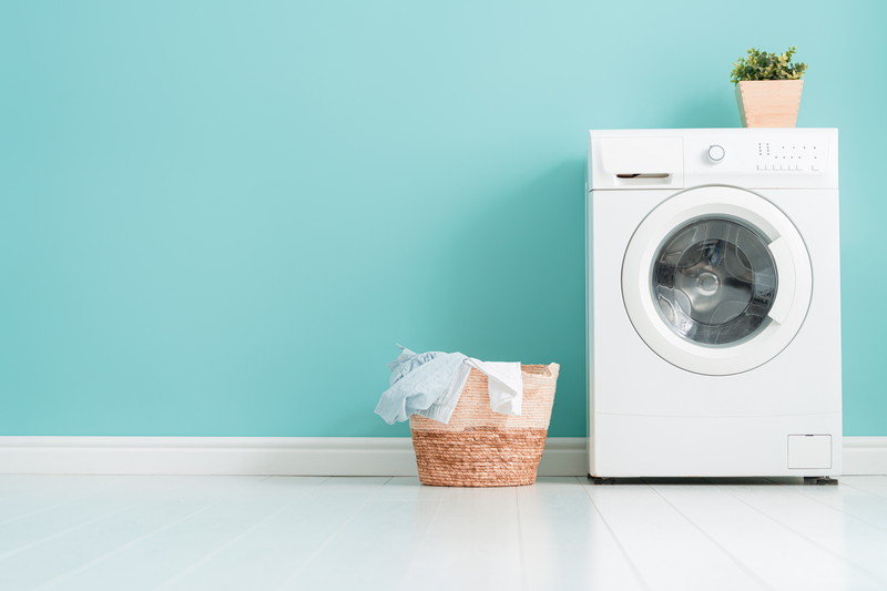 洗濯機掃除の重要性