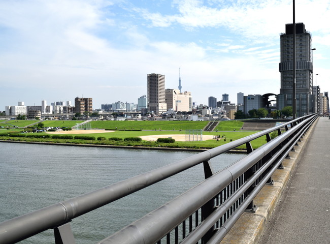 東京の川沿い
