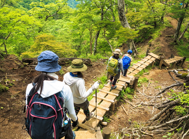 登山中の女性たち