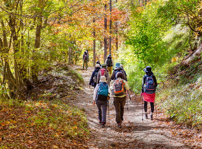 鮮やかな紅葉の登山道