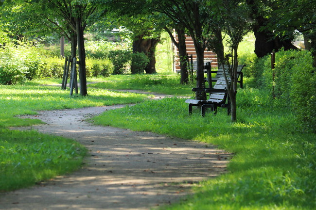 公園　ベンチ