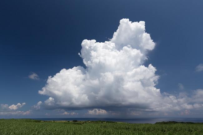 入道雲　ゲリラ豪雨