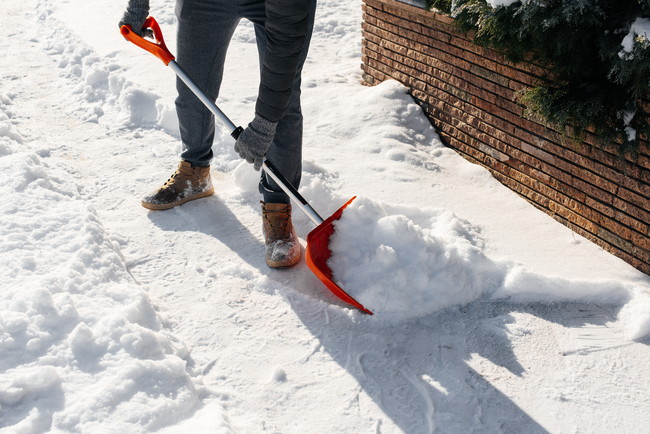 雪かきをする様子