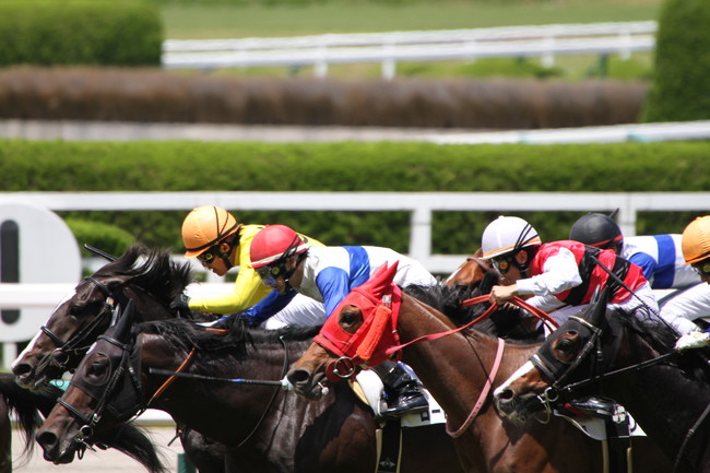 競馬