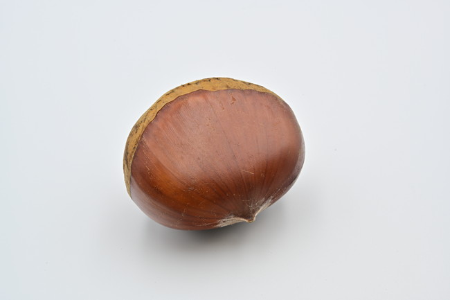 生栗1粒