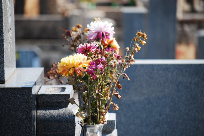 お墓　花
