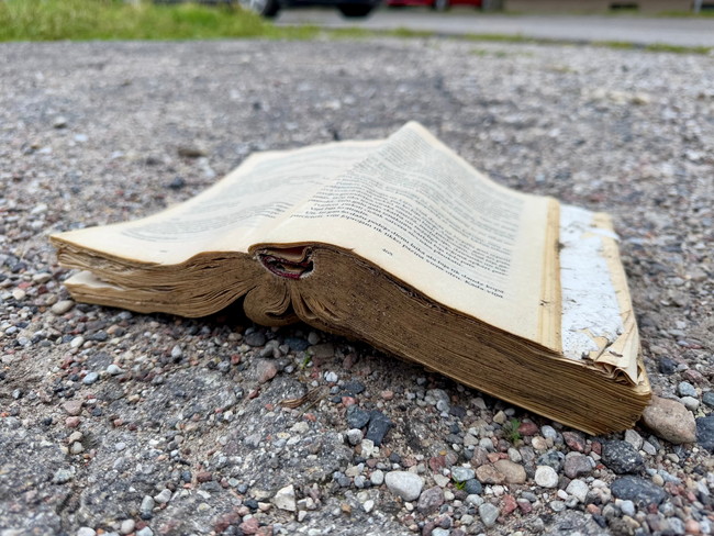 本のポイ捨て