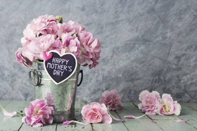 Pink carnation flowers in zinc bucket with happy mothers day