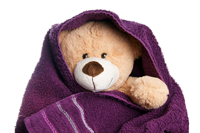 Teddy wrapped in a towel