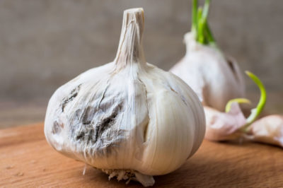 Rotting garlic